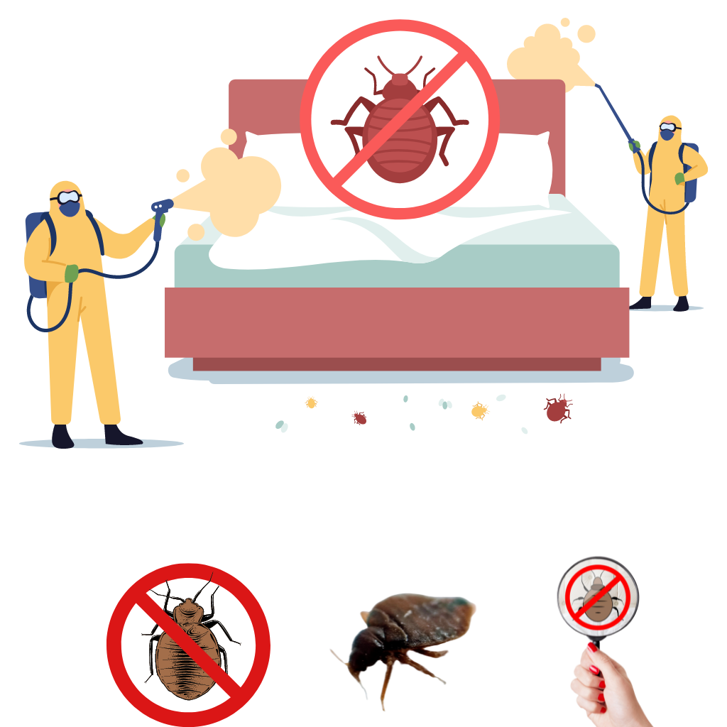 Pest Control Service