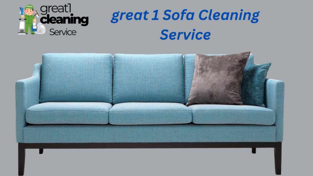 Sofa washing Service