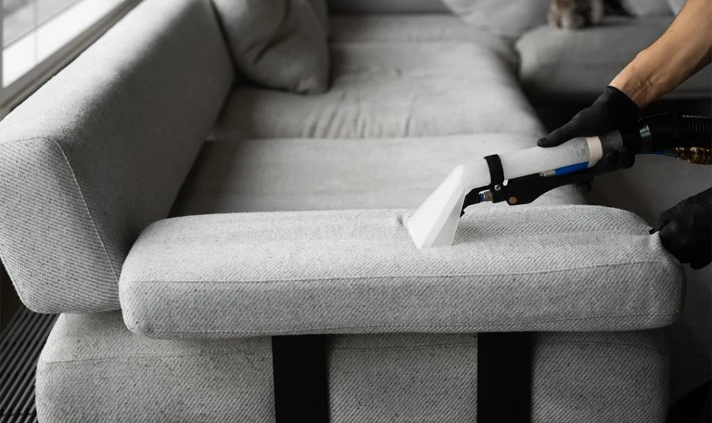 Sofa Cleaning Services in Dive Anjur